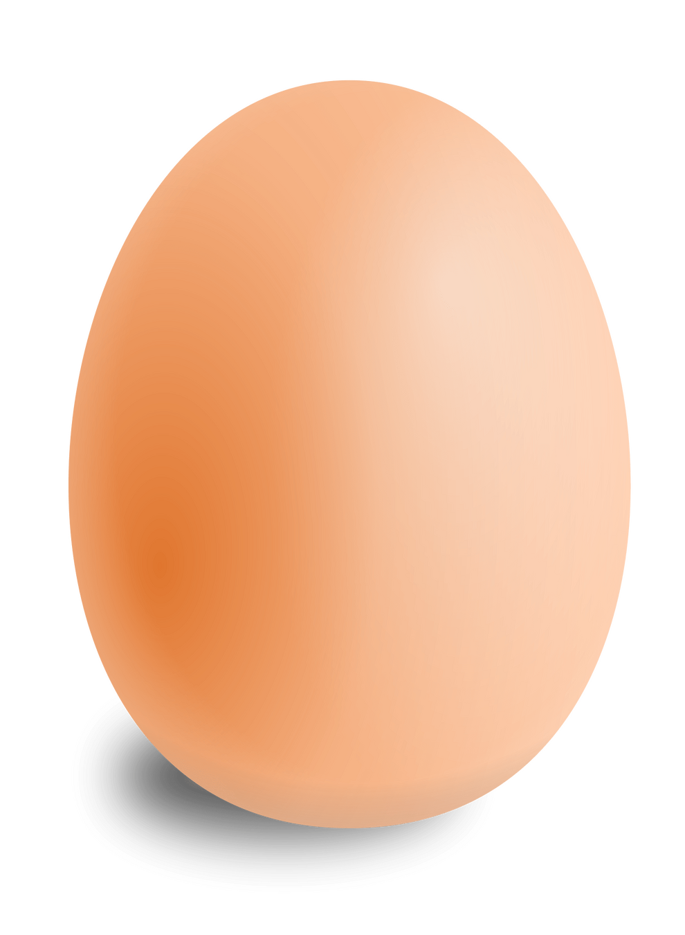 One singular egg, as advertised. The fact that is is very very long was not included in said advertisement.