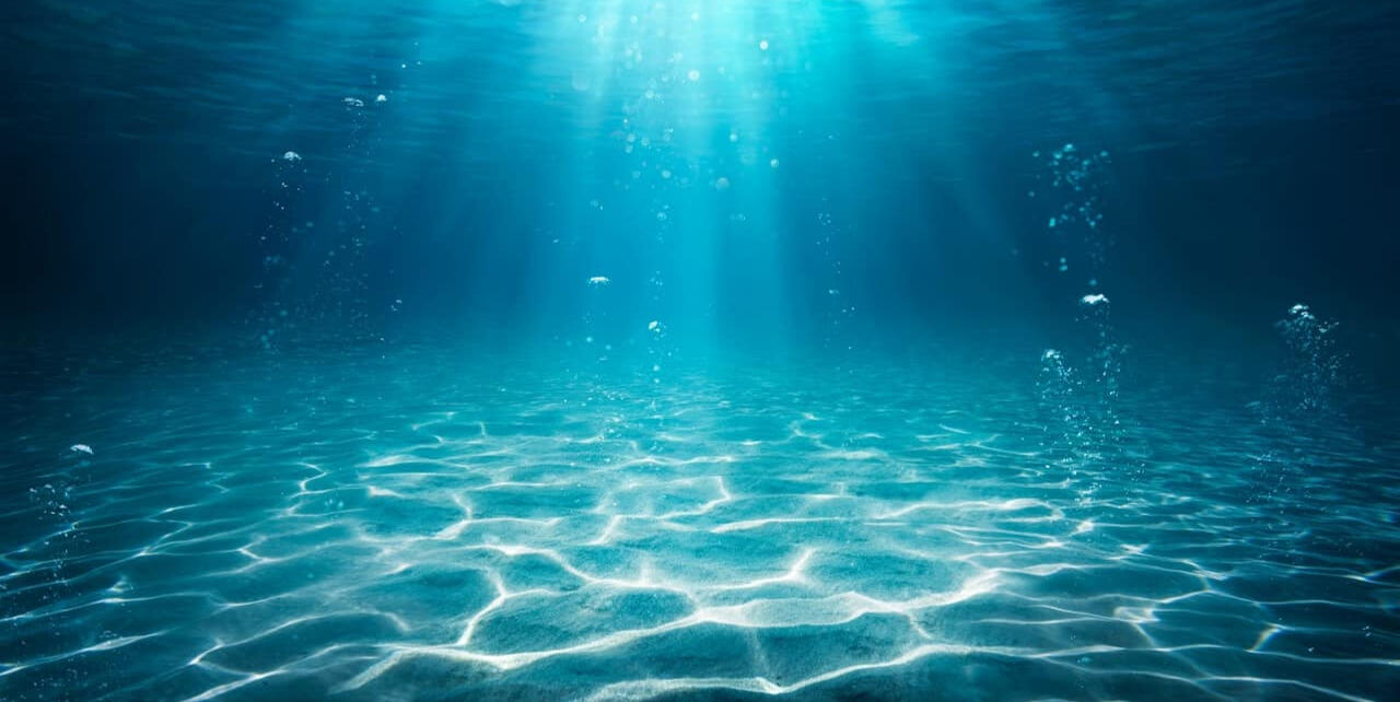 The ocean floor, lit up because it isn't that deep here.